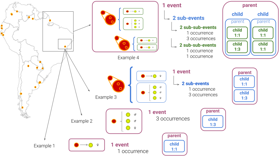 Illustration of four examples of nested `dwc:Event`s